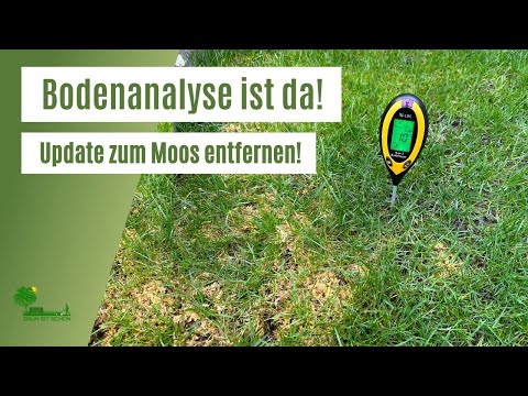 Moos nach Behandlung | Moos im Rasen entfernen | Bodenanalyse ist da | Was fehlt dem  Rasen