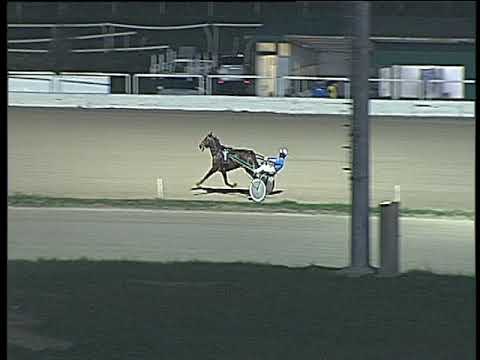 Trotto 19/01/2018 - prova di riqualifica