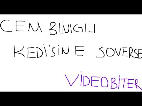 CEM BENGÜL KEDİSİNE SÖVERSE VİDEO BİTER
