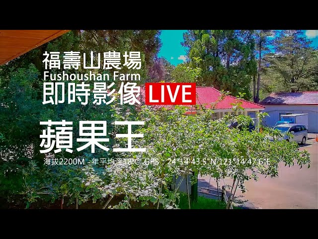 福壽山農場【蘋果王】即時影像