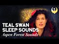 White Noise For Sleep - Aspen Forest Sounds  Audio for Sleeping, Relaxing, Meditation