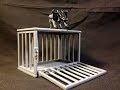 KFC Cassette Beast Cage 