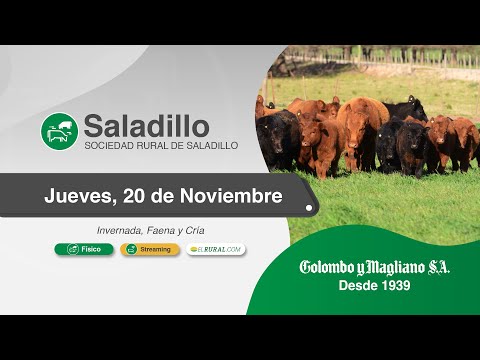 2025.11.20 Saladillo