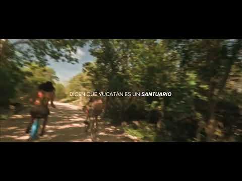#EnVivo | QUÉ RICO