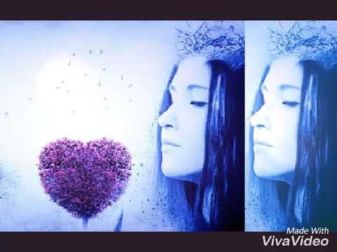 ADAM  CHROLA  -  BIAŁY  LATAWIEC  ❤