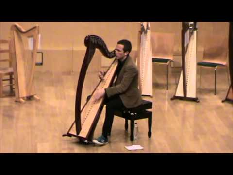 Set of reels/Nikolaz Cadoret/Celtic harp/Live in Terrassa 2015