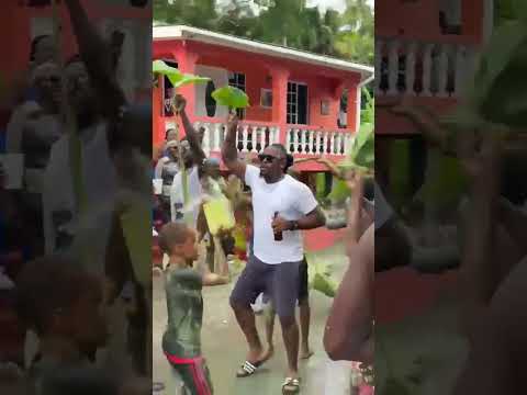 Dread lion - Grease it