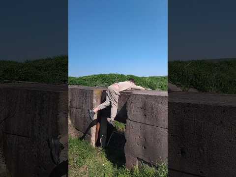 VEZI SĂ NU CAZI. #pamflet  #comedy