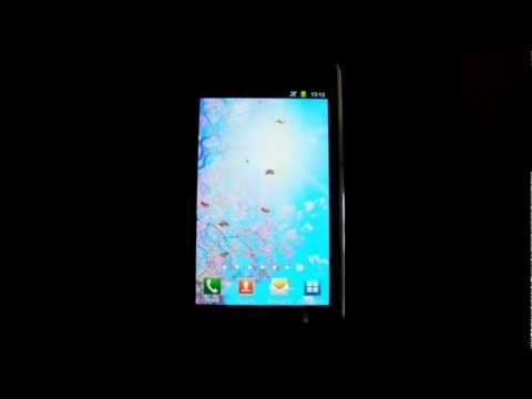 Butterfly Live Wallpaper HD 4 Video