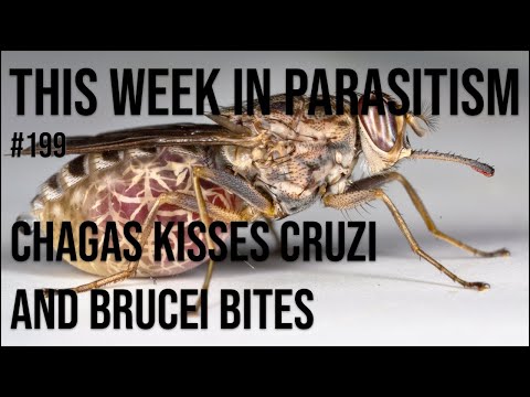 TWiP 199: Chagas kisses Cruzi and Brucei bites