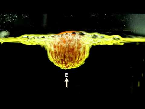 Video Universidad de Antioquia