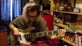 Getting Better DI Bass Tone with Softube Bass Amp Room and EBS Pedals