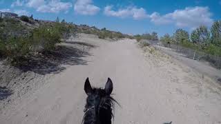 Jex's 7th time alone and was very windy. Fun times