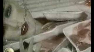 Alaska y Los pegamoides - Horror en el Hipermercado