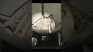 THIS GAME MAKES YOU HATE SPIDERS 💀 #scary #gaming