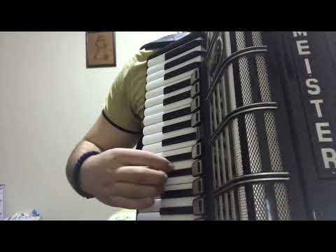 Gunj kolo - Tomica Miljić