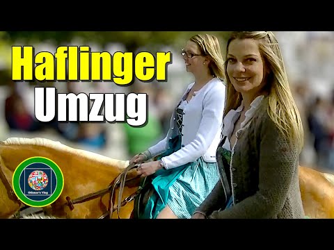 Haflinger Umzug, Meran 2017 - Sfilata Cavalli Avelignesi, Merano 2017