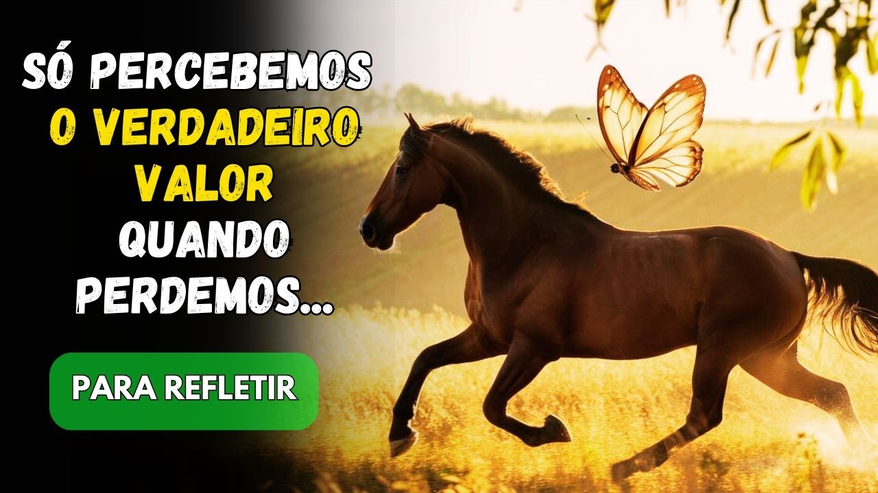 A Comovente Parábola do Cavalo e da Borboleta: Lição de Vida