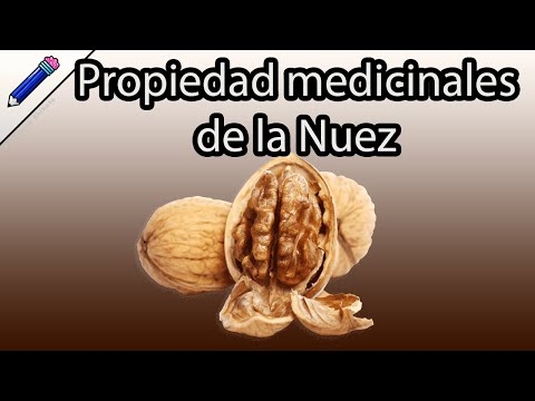 Propiedades medicinales de la Nuez para que sirve comer Nuez