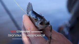 Рыбалка спиннингом в ялте на набережной