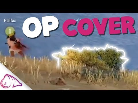 The BEST bush cover in PUBG ft. Halifax | Hambinooo Gameplay