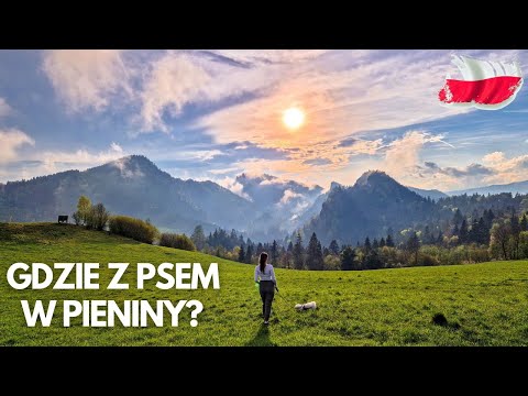 Pieniny with a dog | The most beautiful places where you can take your pet! Top5