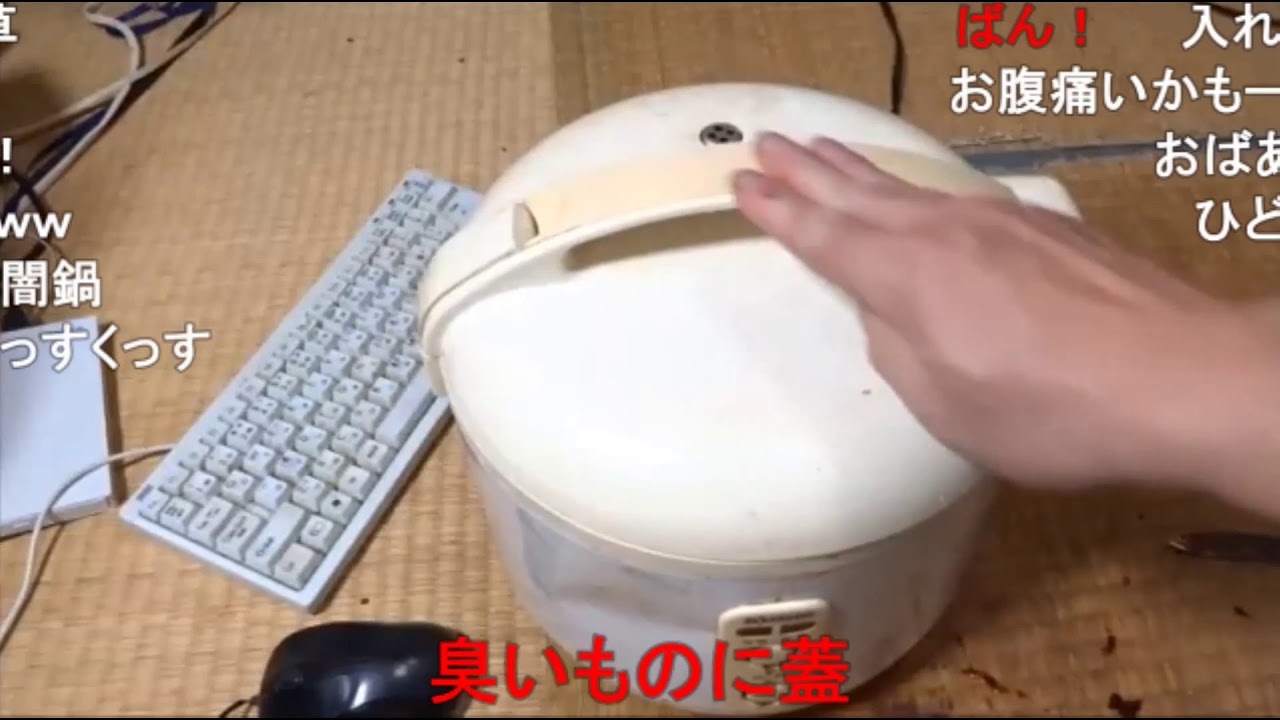 【コメ付き】熟成肉とほうれん草のソース煮込み。食べてみた【アル中カラカラ】【アル中カラカラ】