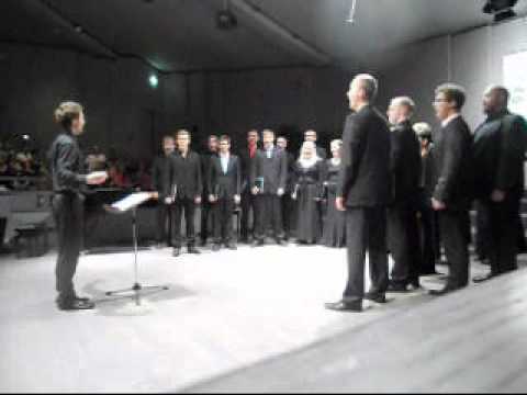 Video Flash Seghizzi 2011 - Collegium Musicale (Estonia) a