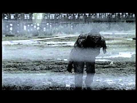 Wire In The Blood 'Nocebo' pt.3