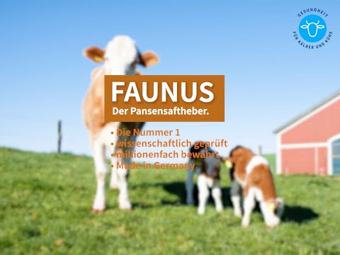 VUXXX GmbH YouTube-Vdeominiatur 8