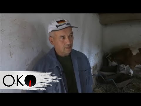 Emisija Oko: Modrice iz Kraljeva - ožiljci celog društva