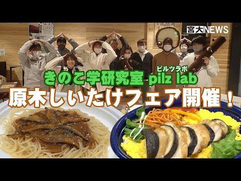 宮大NEWS 原木しいたけフェア開催！