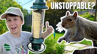Can Squirrels Outsmart This Bird Feeder? Brome Squirrel Buster Plus Review!