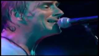 Paul Weller Live - Amongst Butterflies