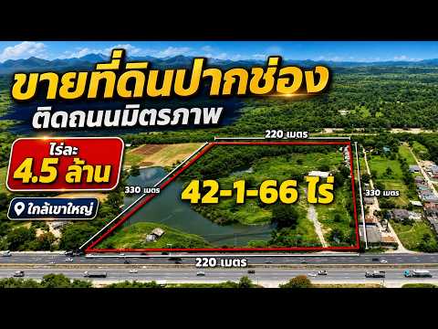ที่ดินปากช่อง นครราชสีมา 43 ไร่ (แบ่งขาย 21 ไร่ได้) หน้ากว้างติดถนนมิตรภาพ 220 ม., นครราชสีมา, มิตรภาพ, กลางดง, ปากช่อง, นครราชสีมา, 33,600 ตร.ม., ที่ดิน ขาย, โดย Sirithong Saetang, 6570385 - DDproperty.com
