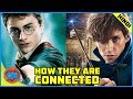 How Harry Potter and Fantastic Beasts Movies are Connected | Explained in Hindi