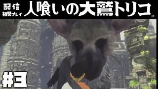 #3【配信】名作ゲーム「人喰いの大鷲トリコ」を実況プレイ【少年と巨獣が紡ぐ、新たなる神話】#人喰いの大鷲トリコ