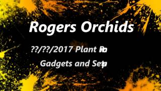 Watering Day - A Quick Look at Some Orchids