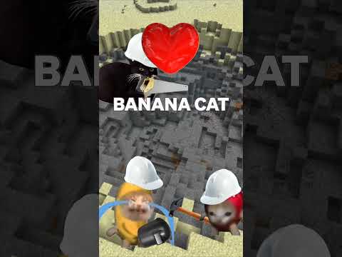 BICCAT - 🍌 Banana Cat's builds a HOUSE in MINECRAFT? 😭 #memes #trending #animation #funny #happycats