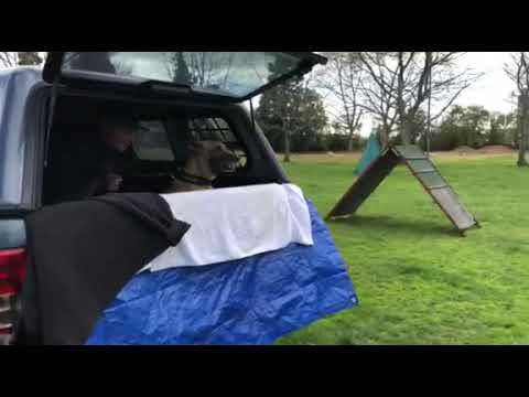 NEVE - Vonlindenhof Amara - PSA-PDC Car Jacking