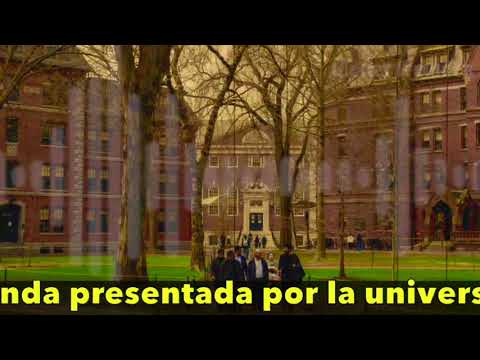 ⚖️📚 ¡Trump vetado! Harvard gana batalla por estudiantes extranjeros