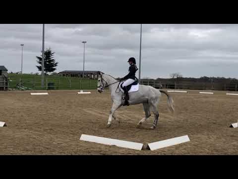 Dressage test BE90 test 95 - 30 (70%)