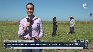 Miniatura do vídeo
