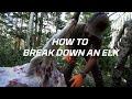 How To Field Dress An Elk Gutless Method Hoyt Hunting Tips