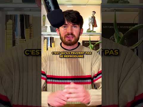 Les escargots peuvent être gauchers ou droitiers