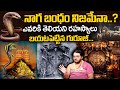 Subash Sharma Mystery Of Naga Bandham History Of Naga Bandham NagaBandham Is Real SumanTV