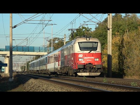 Vlaky Pardubice-Pardubičky a okolí 10/2022