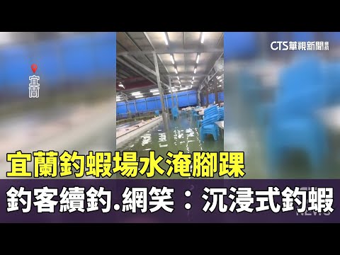 宜蘭釣蝦場水淹腳踝　釣客續釣　網笑：沉浸式釣蝦