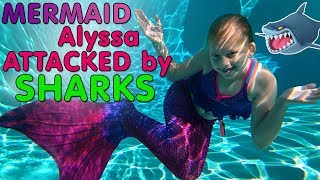 Sharks Attack Mermaid Alyssa!!