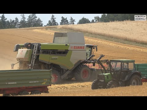 Claas Lexion 5000 im Dreschfieber - Gerste dreschen 2023 - Agrolohn Kaufmann - Deutz Fahr DX